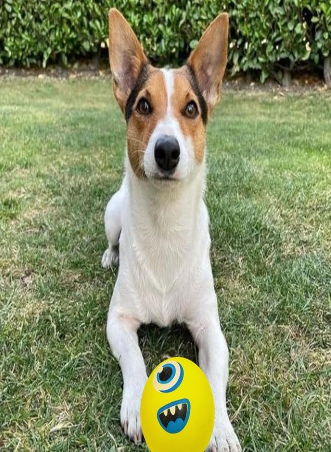 BohoBark High Bounce Rubber Dog Ball - Perfect for Active Play & Fetch - Safe, Non-Toxic & Durable - Image 4